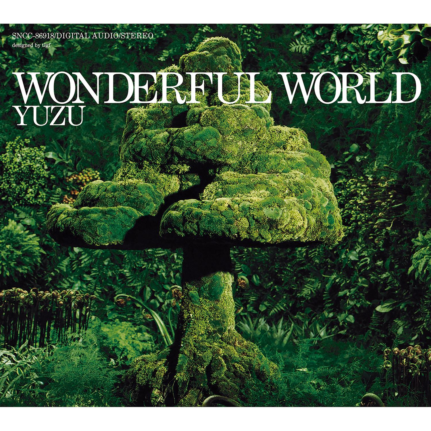 WONDERFUL WORLD
