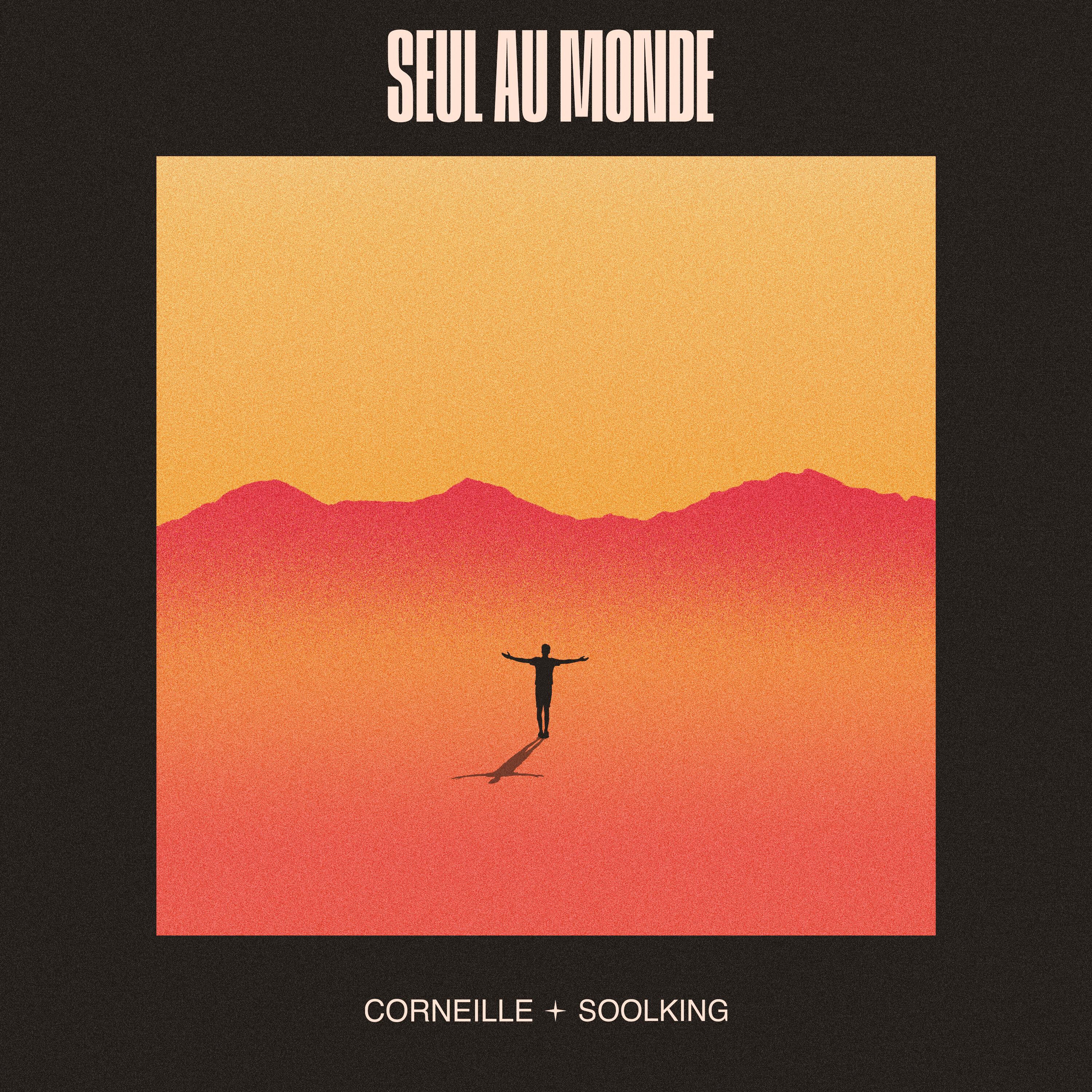 Seul au monde (feat. Soolking)