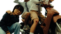 pho real专辑