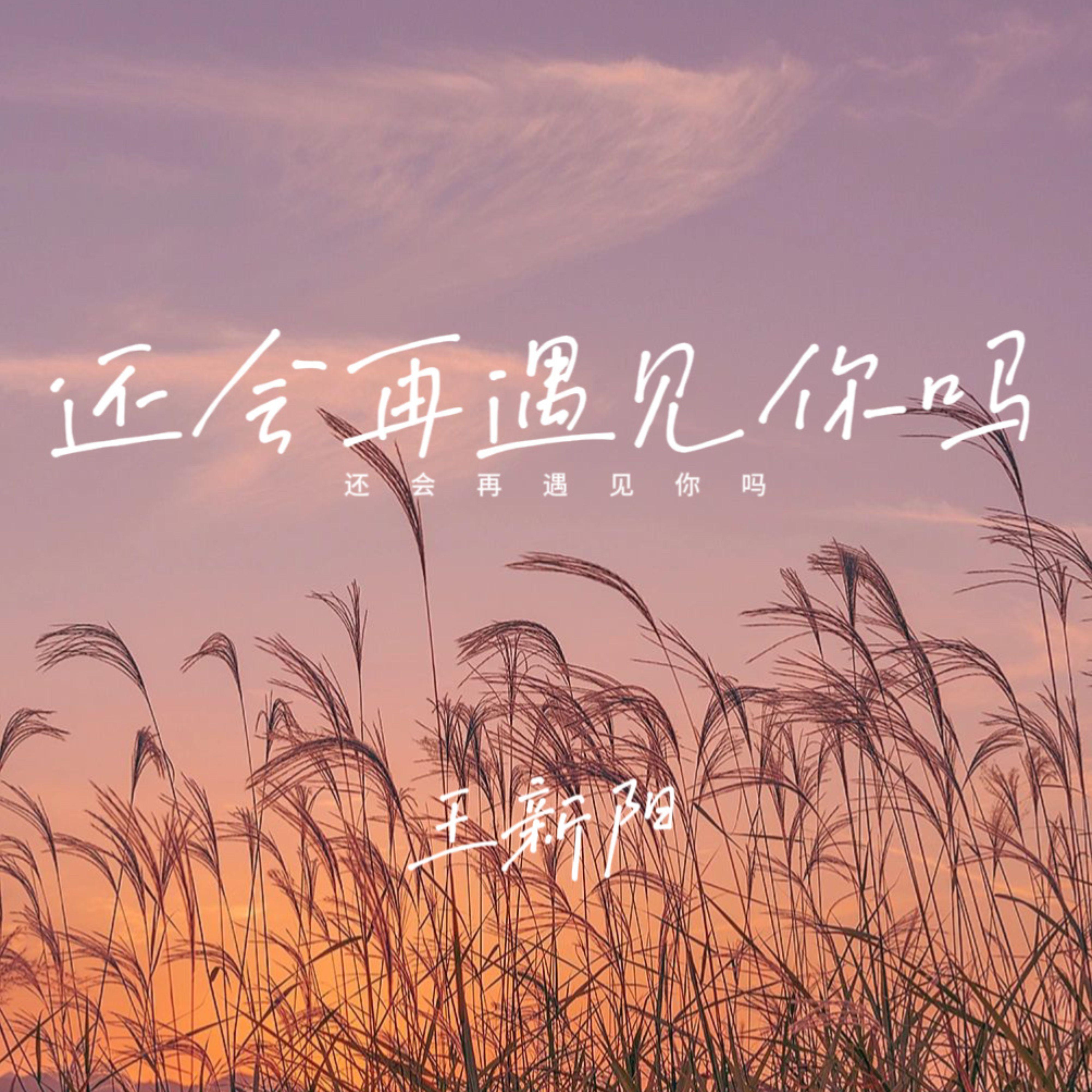 还会再遇见你吗
