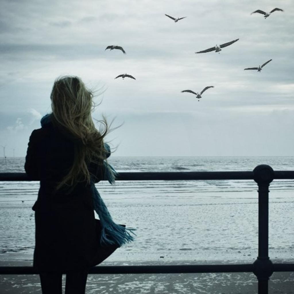 不错的清新欧美女声调调♪ | 在线播放 | 网易云音乐