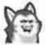 [涮碗专用歌单_④]