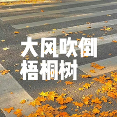 大风吹倒梧桐树