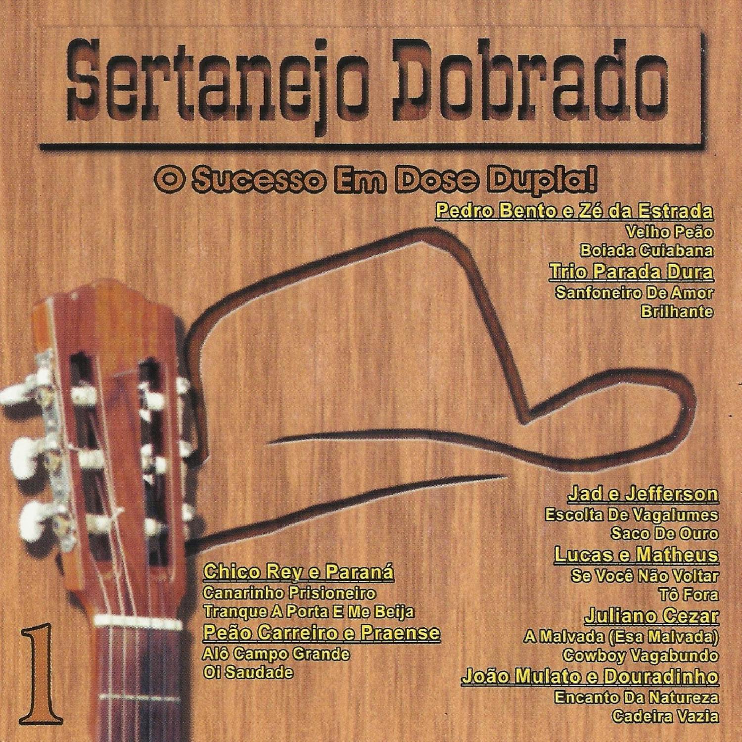 Sertanejo Dobrado - O Sucesso Em Dose Dupla!专辑