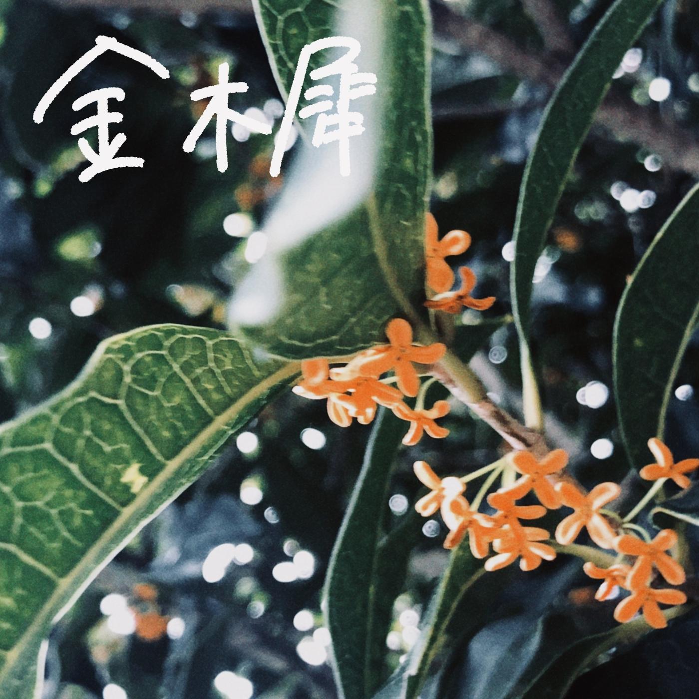 金木犀