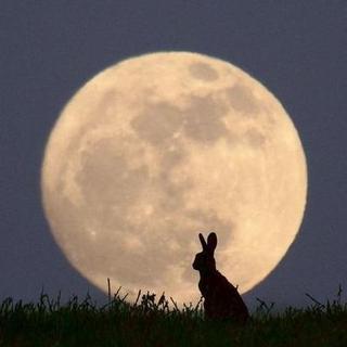 【氛围】静谧的月光