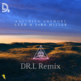 Anything Anymore (DR.L Remix)