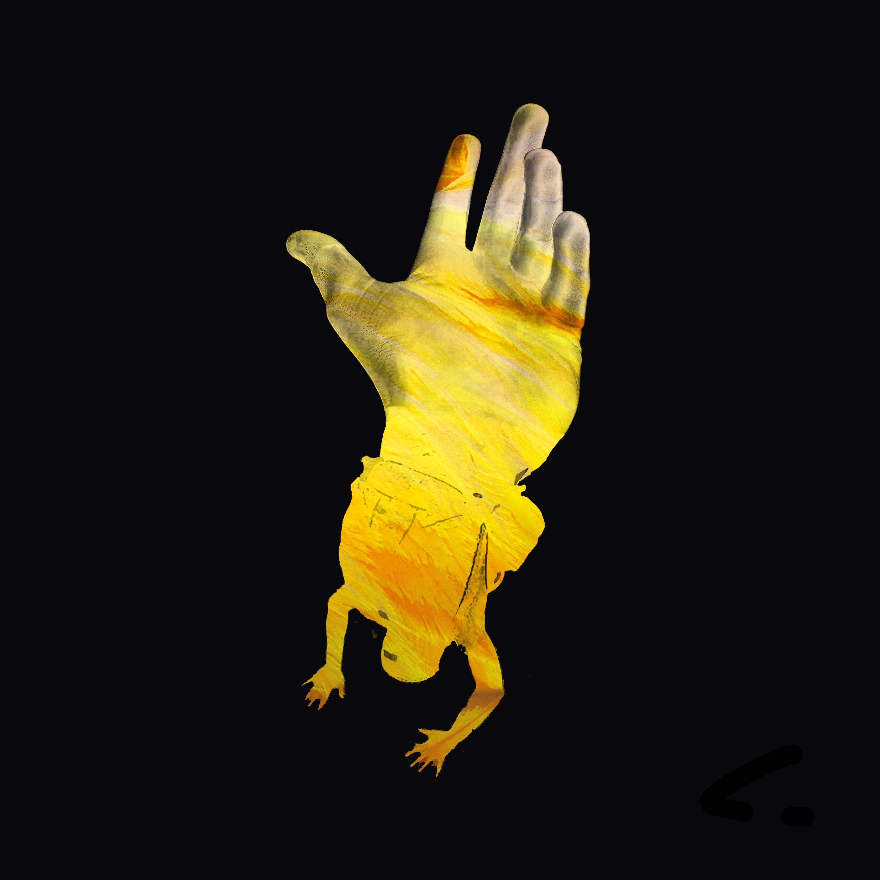 Falling