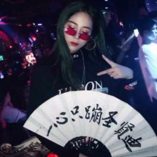 蹦迪嗨曲 摇摆至上