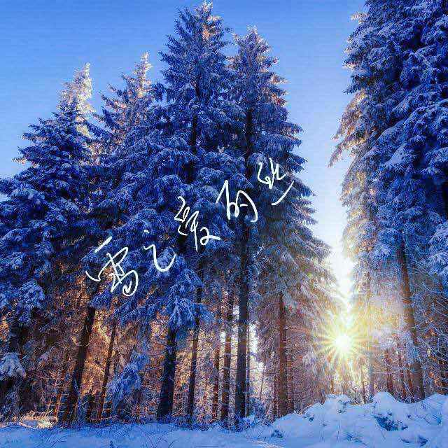 雪之爱丽丝