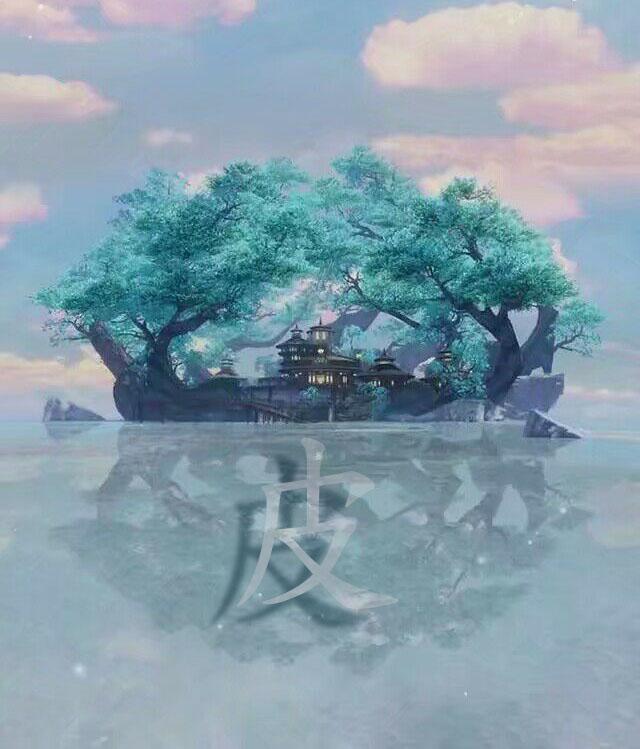 皮专辑