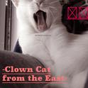 东南小丑猫 -Clown Cat from the East-专辑