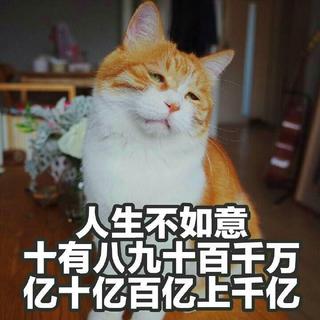 明星大侦探第三季酒店惊魂bgm