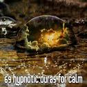 69 Hypnotic Auras for Calm专辑