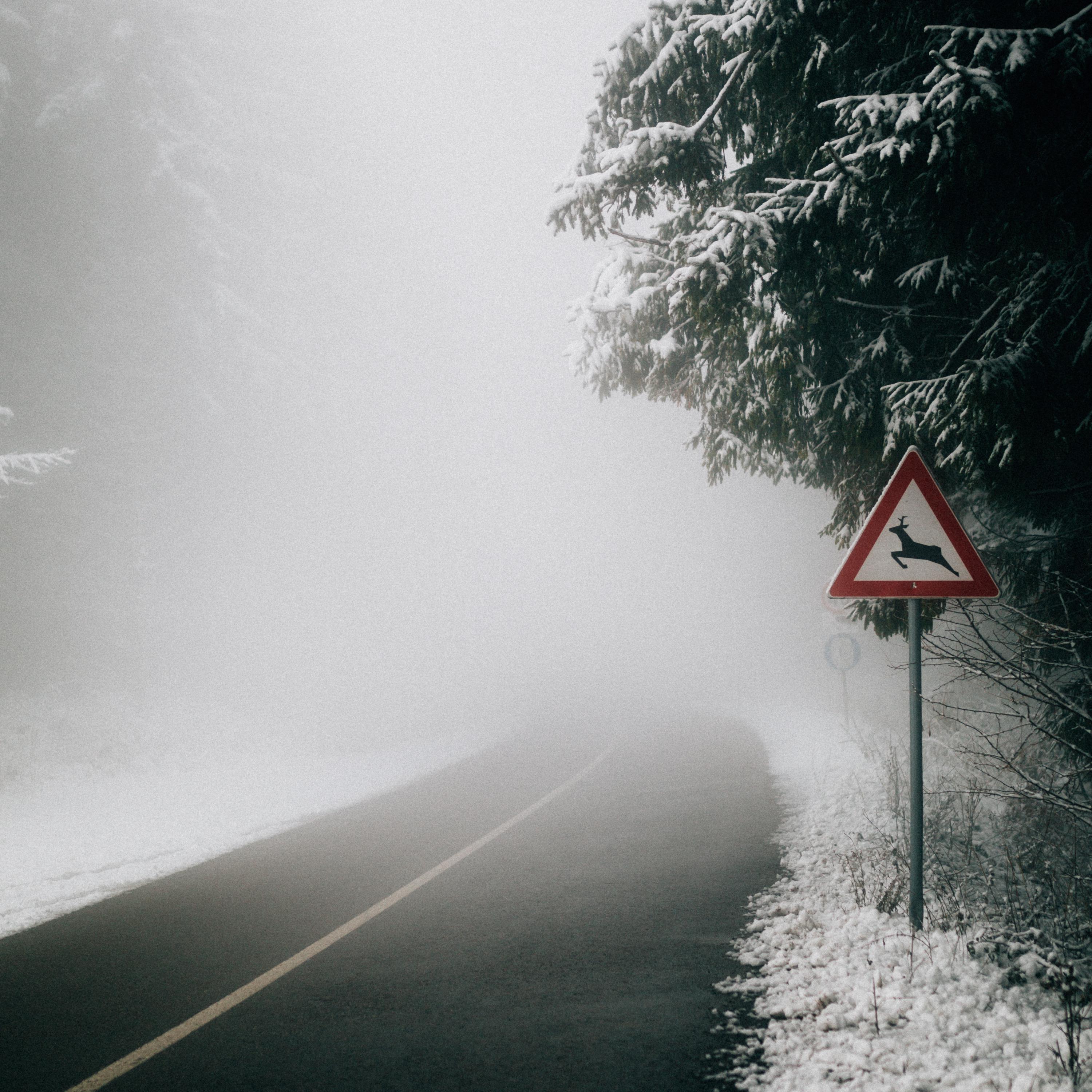 Long Road