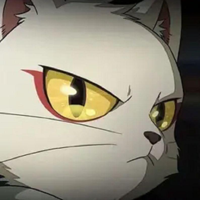 命运（DJ铁柱版）