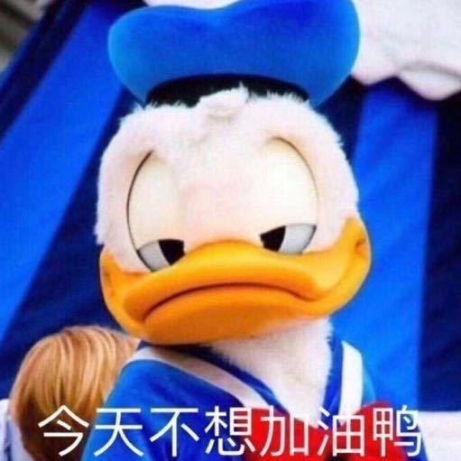 无敌可爱（！）