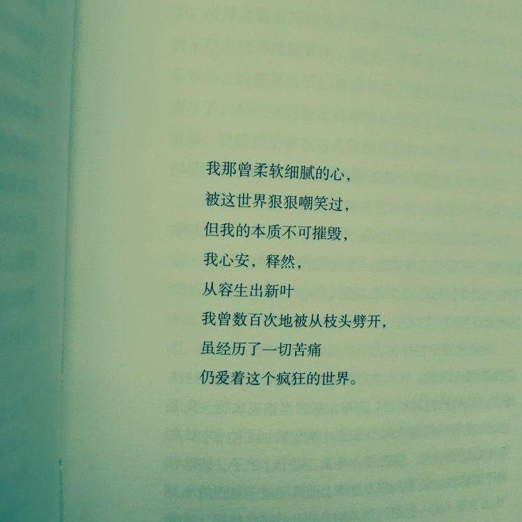 學習 閱讀 獨處 放鬆 【純音樂 】