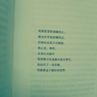 学习精选（安静纯音）