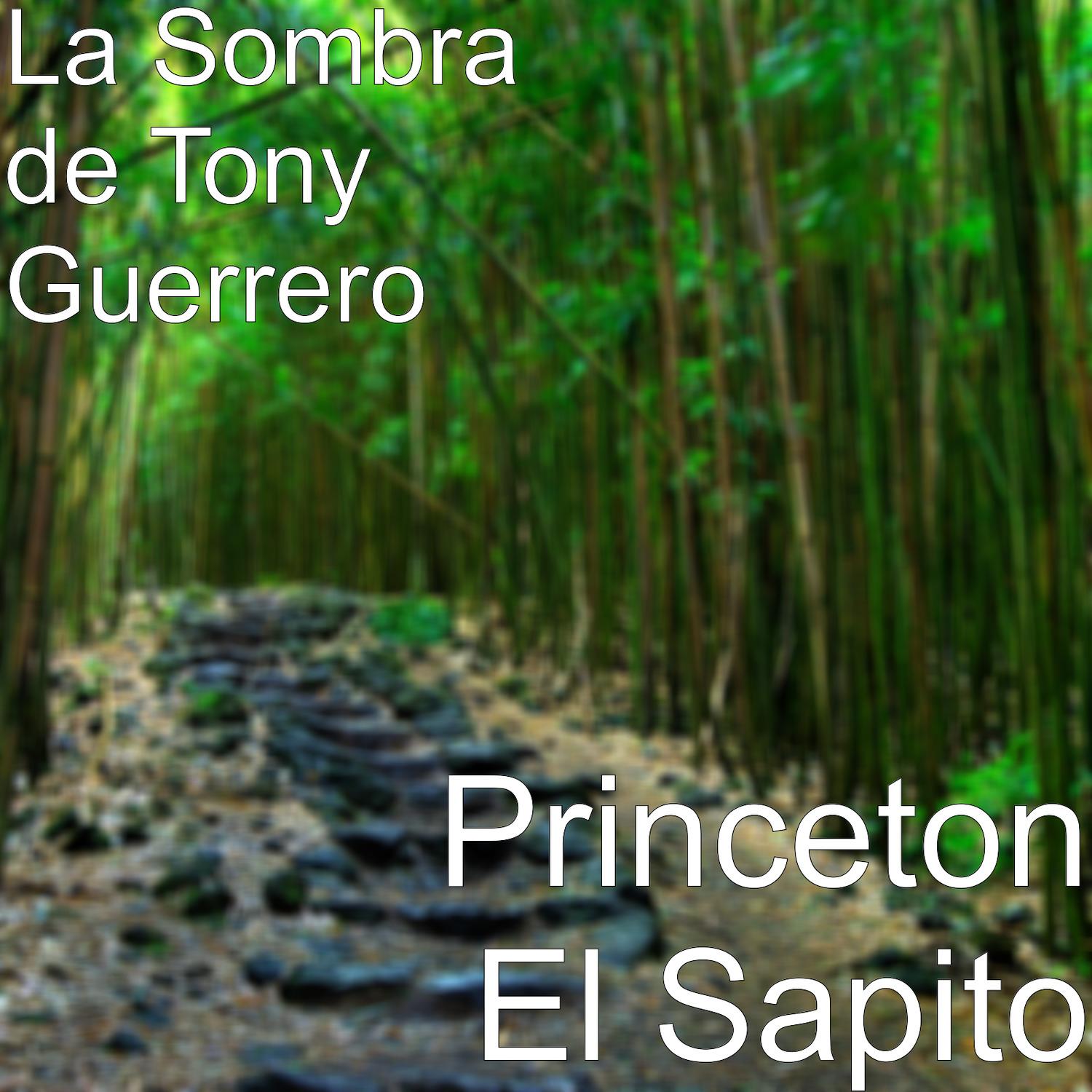 Princeton El Sapito