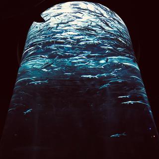 浪漫摇滚丨想要飞走的热气球