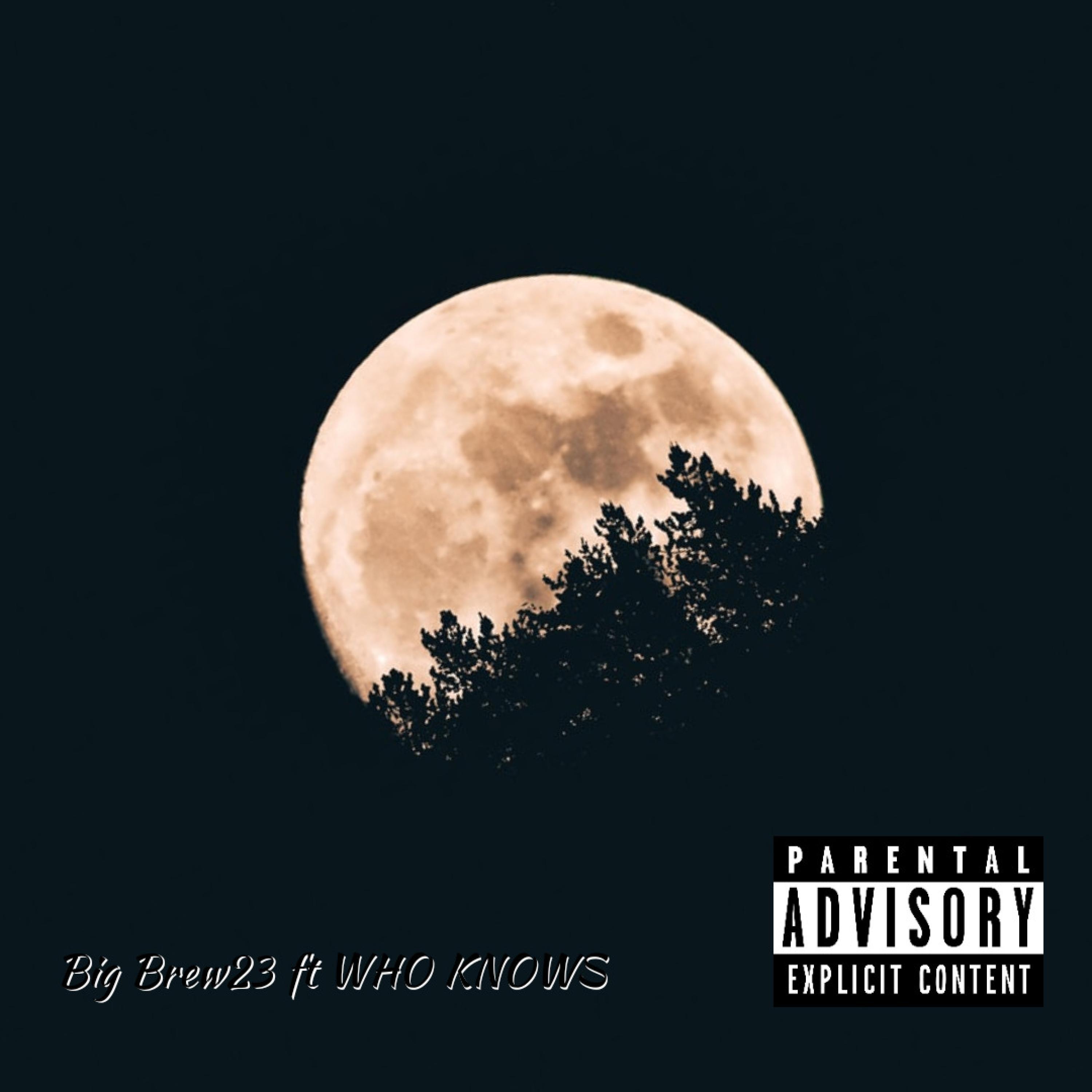 Tonight (feat. WHO KNOWS)