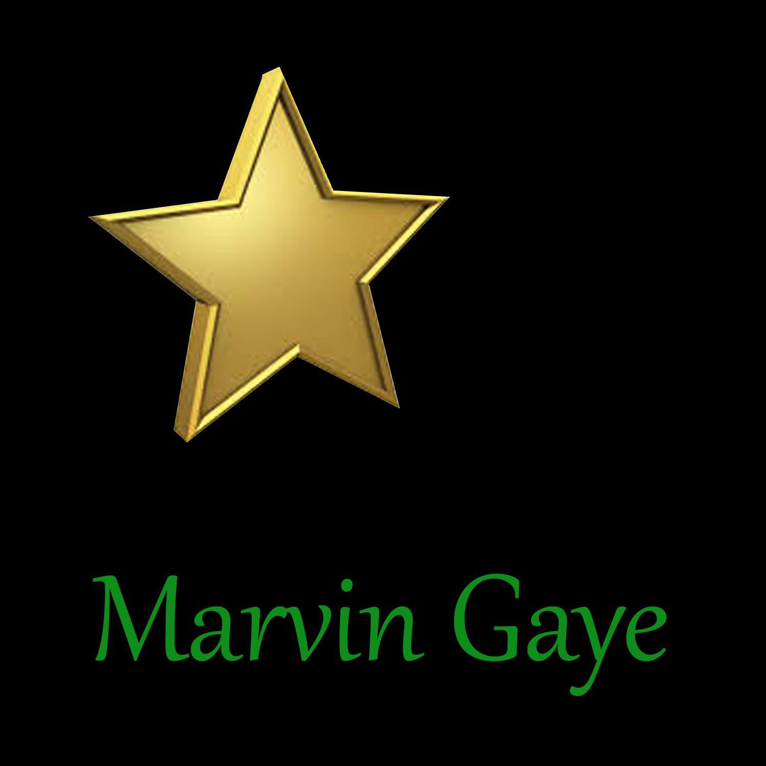 Marvin Gaye专辑