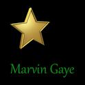 Marvin Gaye专辑