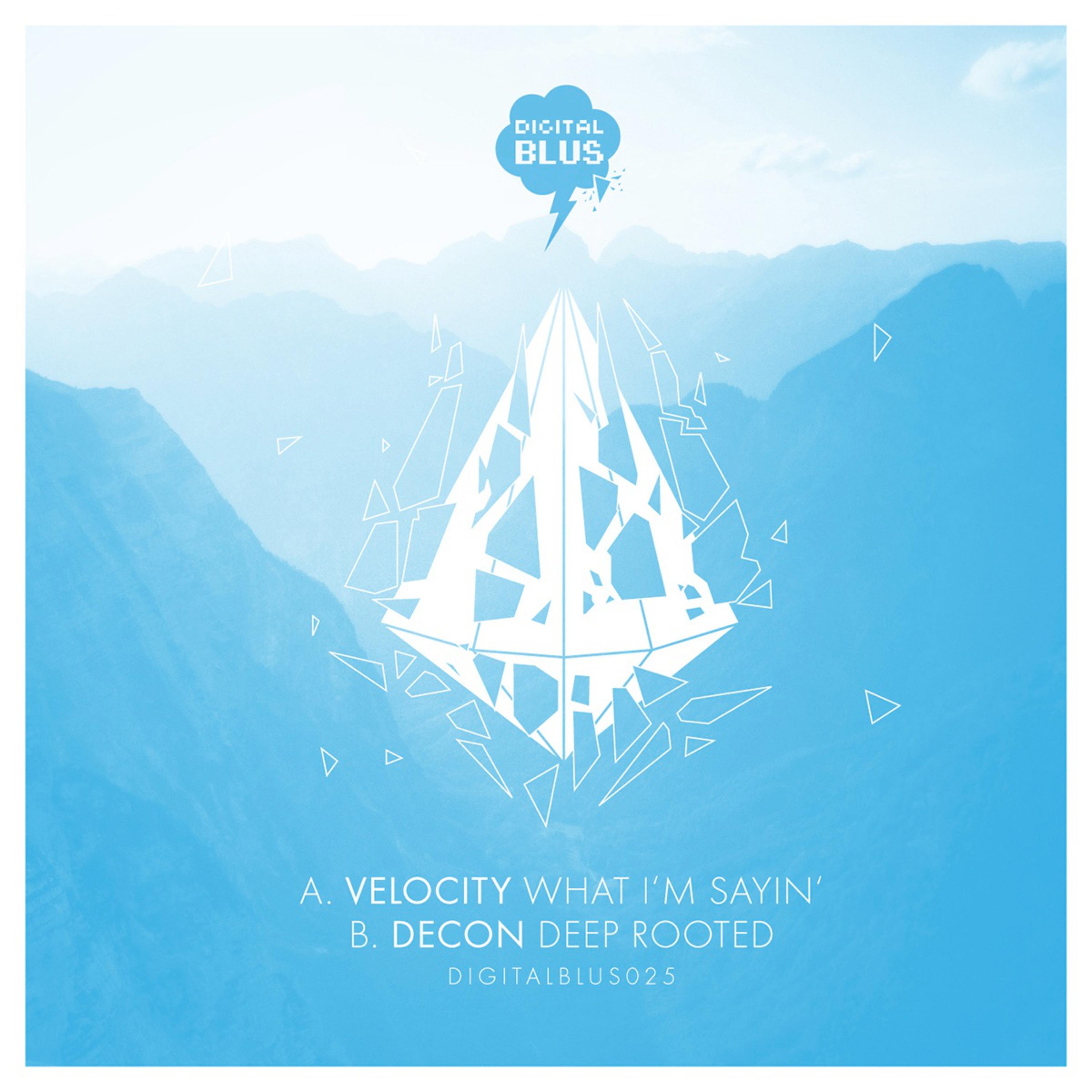 What I'm Sayin' / Deep Rooted