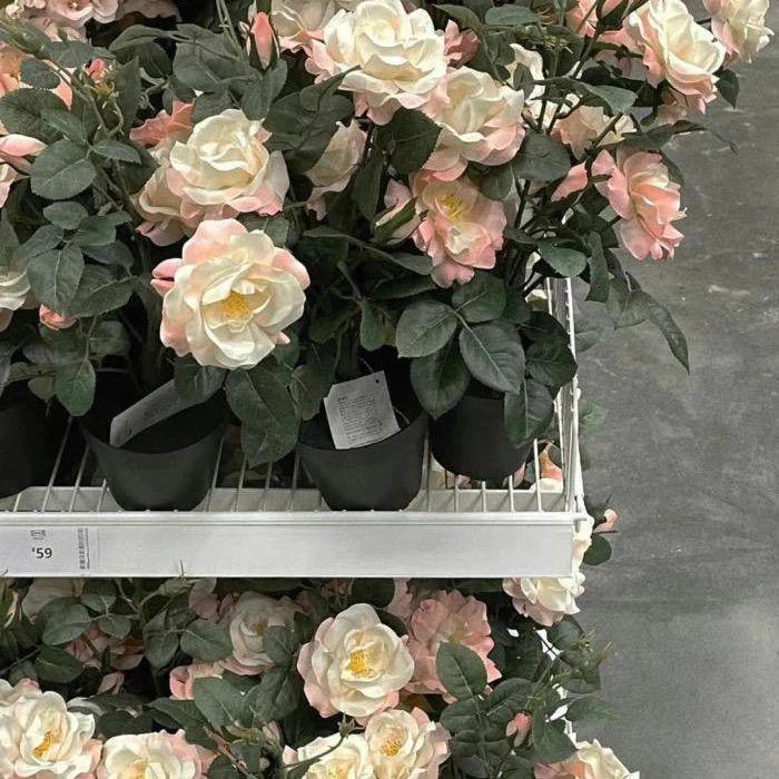 ♡