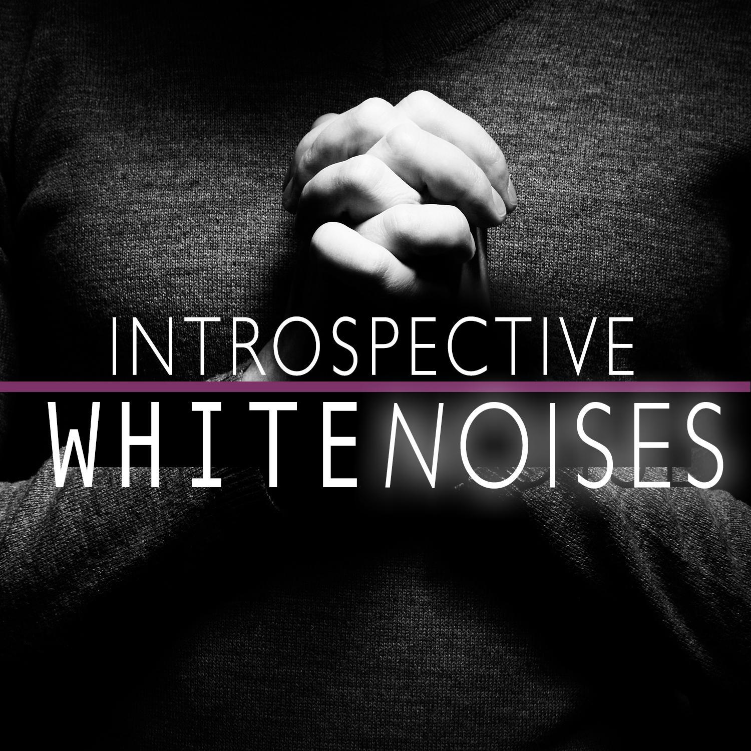 Introspective White Noises专辑