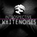 Introspective White Noises专辑