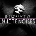 Introspective White Noises专辑