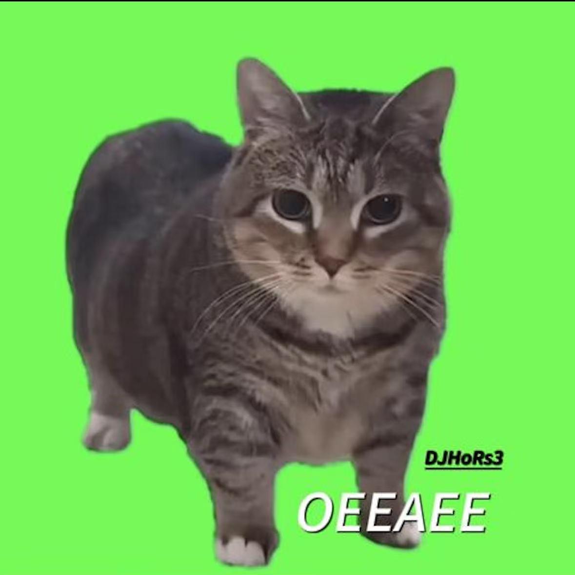 DJHoRs - OEEAEE 旋转猫(Extended Mix)