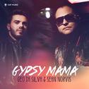 Gypsy Mama (Remixes)专辑