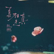 真相是真专辑