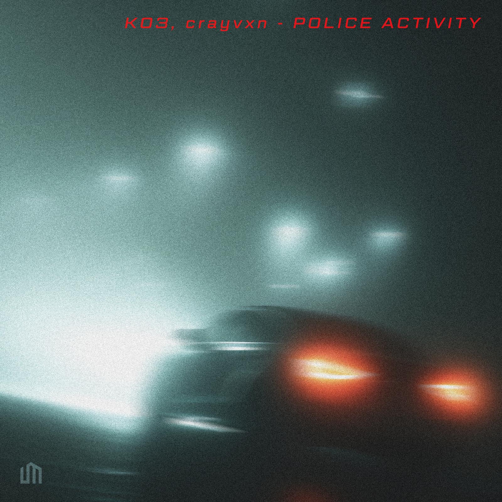 POLICE ACTIVITY