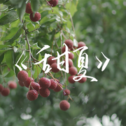 《甜夏》 伴奏