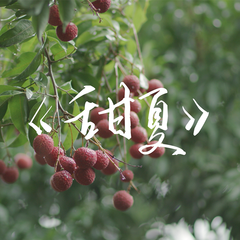 《甜夏》 伴奏