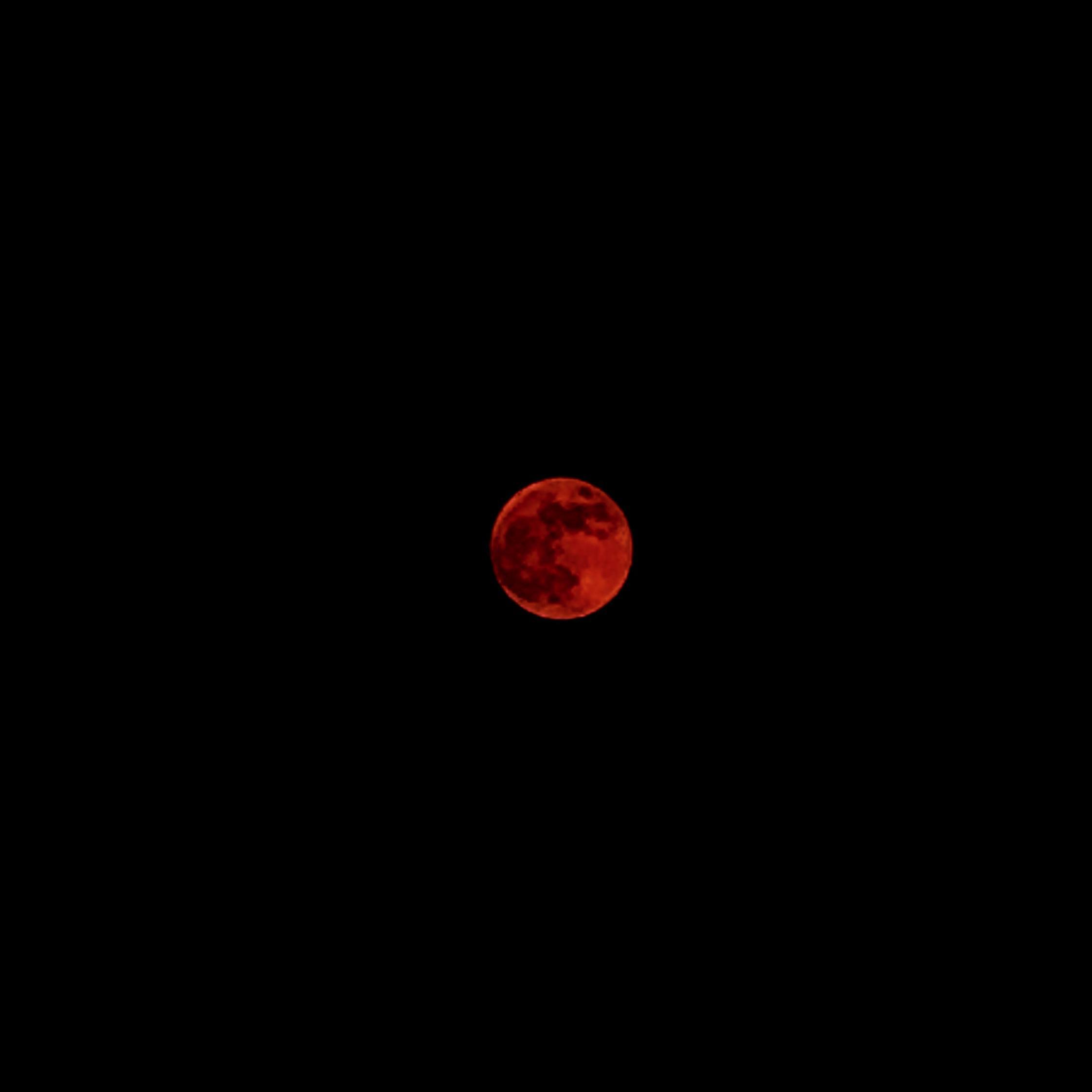moonlight.