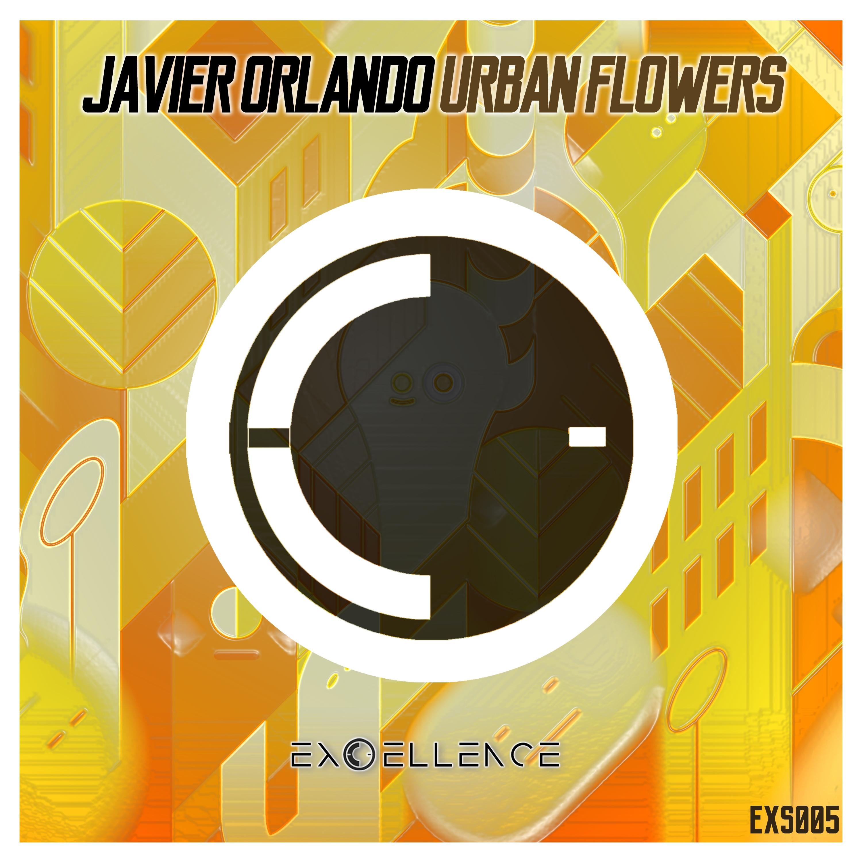 Urban Flowers