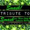 Smash! (Tribute to Smash Feat. Megan Hilty & Katharine Mcphee) - Single专辑