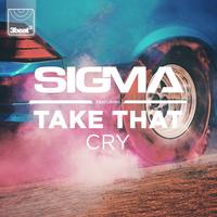 Cry - Sigma & Take That (karaoke)