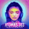 Atomas 303 - What Happens After Dark (Remix)