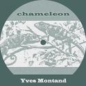 Chameleon专辑