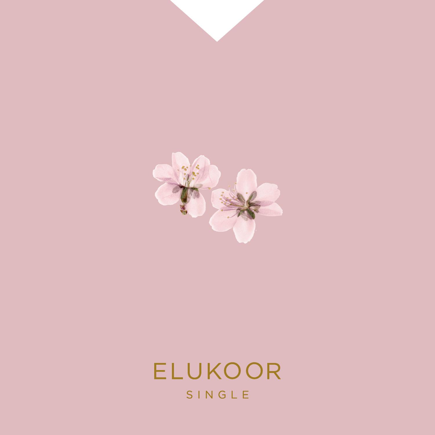 Elukoor