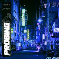 P R O B I N G///