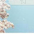 T-J歌手图片