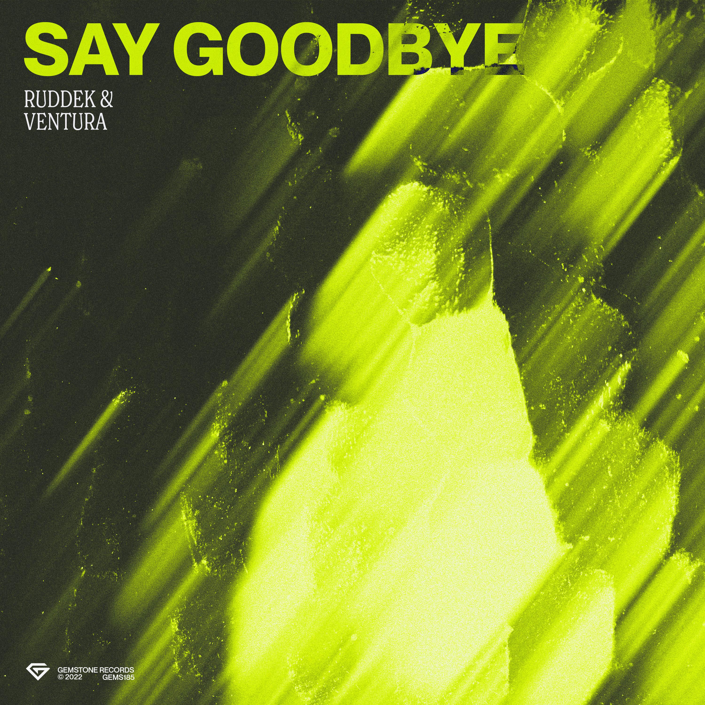 Ruddek - Say Goodbye