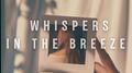 WHISPERS IN THE BREEZE (Song by Yu1L)专辑